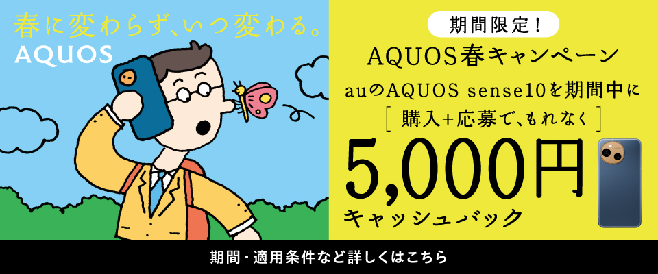 期間限定キャンペーン