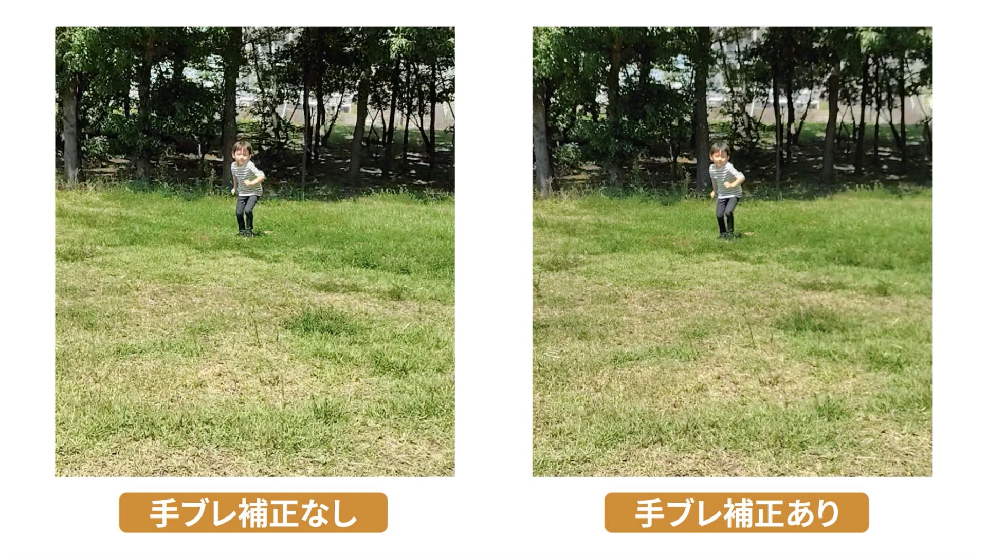 ❤️スマホ転送可❤️E-PL2 ❤️シャッター数917❤️手ぶれ補正機能正常 ❤️スマホ転送可❤️E-PL2 ❤️シャッター数917❤️手ぶれ補正機能