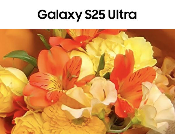 Galaxy S25 Ultra