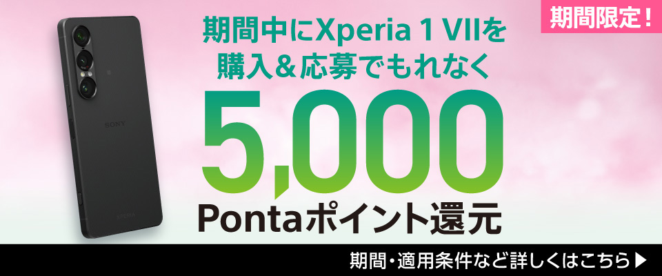 期間限定キャンペーン